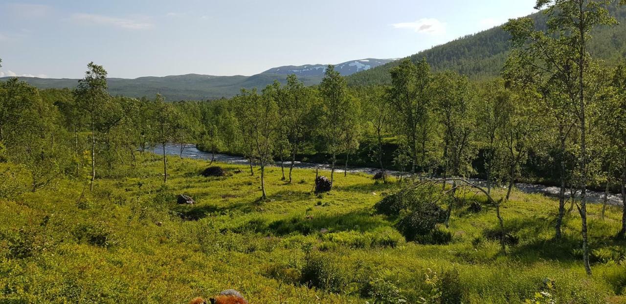 Вилла Elvestua Gibostad Экстерьер фото
