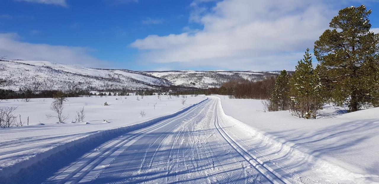 Вилла Elvestua Gibostad Экстерьер фото