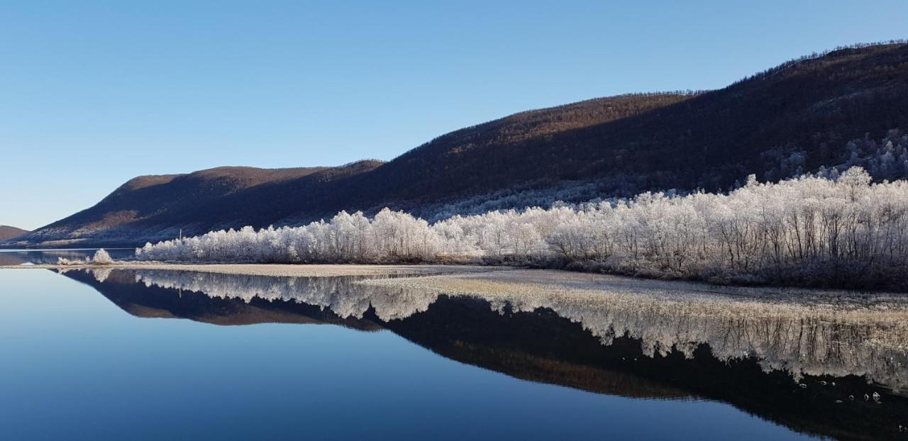 Вилла Elvestua Gibostad Экстерьер фото
